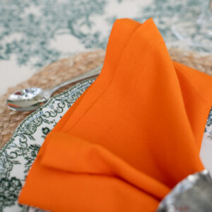 The Orange Cloth Napkin